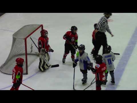 HC Vipers G RED – HC Viking G   0:6 (0:5 ; 0:1)  19.02.2018