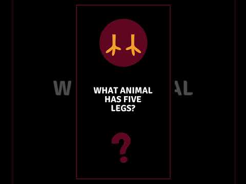 Twisted Sushi #004 #shorts #dark #humor