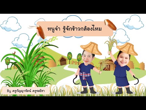 ขั้นตอน