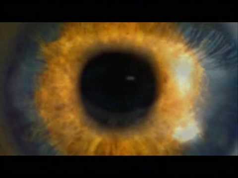 massive vs kathy brown turn my heaven out.wmv