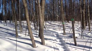 preview picture of video 'Forest Snowshoeing in Fresh Powder Snow'