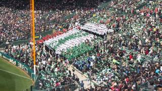 海南高校応援(千本桜)