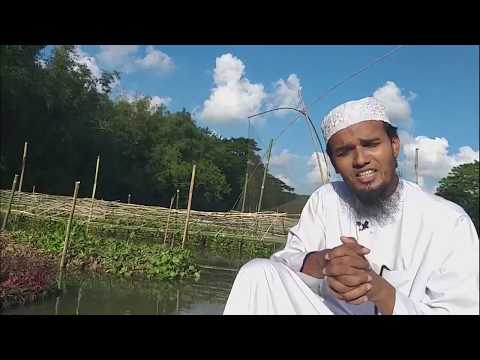 ভাসমান বেডে সবজি ও মসলা চাষে সফল করিমগঞ্জের কৃষকঃ মাচা পদ্ধতি