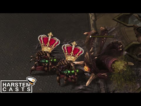 Dark's ROYAL Nydus vs Gumiho