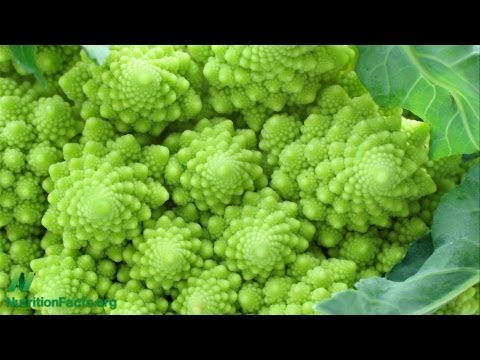 download lagu mp3 mp4 Kale Immune System, download lagu Kale Immune System gratis, unduh video klip Kale Immune System