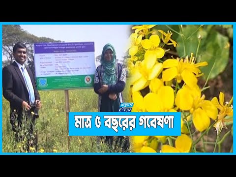রোগ প্রতিরোধী এবং উচ্চ ফলনশীল সরিষার ৫ জাতের উদ্ভাবন