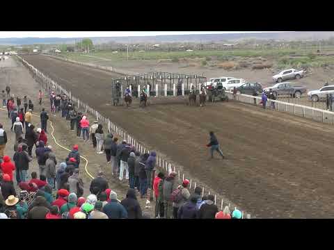 TANGO  Club Hipico Añelo   Añelo 18- 09- 2022