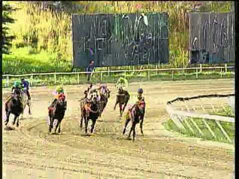 Resumen Domingo, 29 de Diciembre de 2013 - La Rinconada