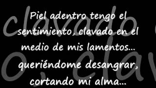 Piel adentro Music Video