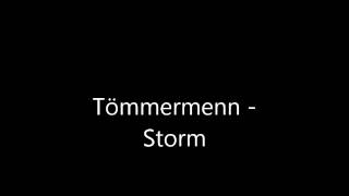 Tömmermenn - Storm