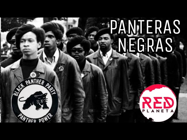 Vídeo relacionado con Black Power Panther Party 1966 Cabello Natural Afro Melanina Camiseta