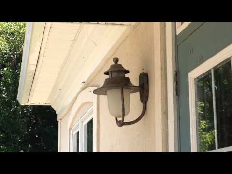 Yellow Jackets Exterminated in Keyport, NJ