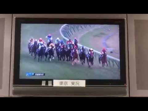 第152回天皇賞(秋) 2015年11月1日（日） JRA東京競馬場