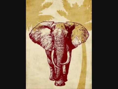 Gepy & Gepy - African Love Song