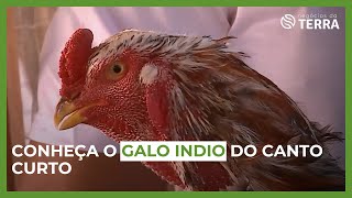 Miniatura do vídeo