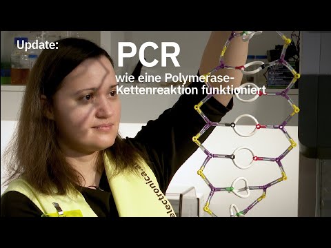 Update: PCR – wie eine Polymerase-Kettenreaktion funktioniert