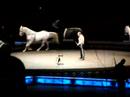 Circus Horses