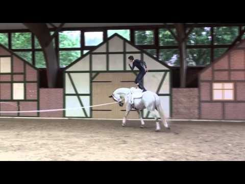 CVI Krumke 2014 - Miro Rengel Kür Sonntag