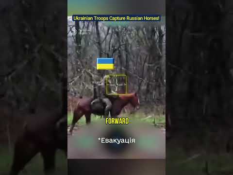 Ukrainian Troops Capture Russian War Horses!