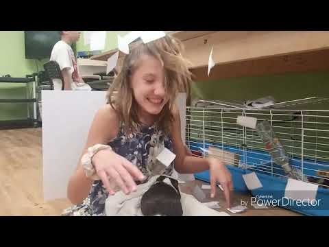 Lip Dub 2019: Keep Your Head Up (Explorers)