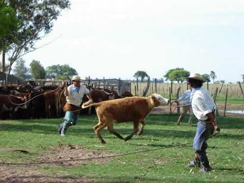 Los Horcones del Chamamé  - Entre la Yapa y la Argolla