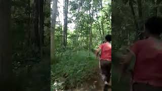 Download lagu Pikat burung Tledekan kapas menggunakan MP3 mp3 Download lagu Pikat burung Tledekan kapas menggunakan MP3 mp3