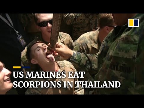 【錯誤】網傳「在泰國受訓的美國大兵，飲用蛇血，就去參加世界軍運會，他們是新冠病毒真正的中間宿主」？