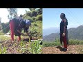 गाँव आकर इस तरह करना पड़ रहा है खेतों म�