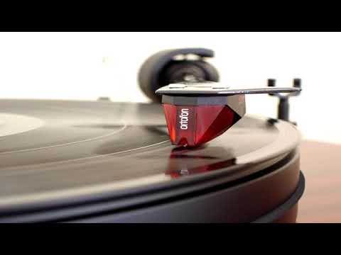 El Bastardo Feat. Bibi Sanchez - What We Got ( Madraas Rmx ) -