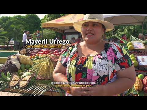 Carretillas Frutícolas de Lejanías - Meta.