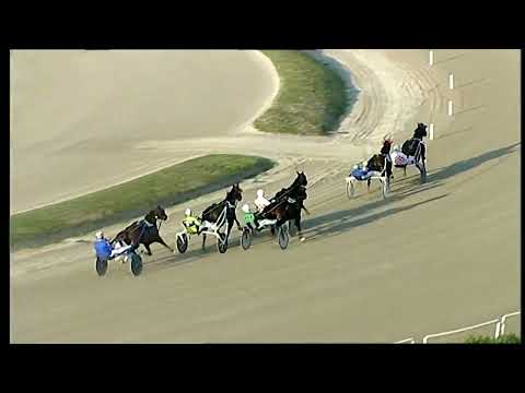 Napoli Trotto 13/02/2022 - 6ª corsa