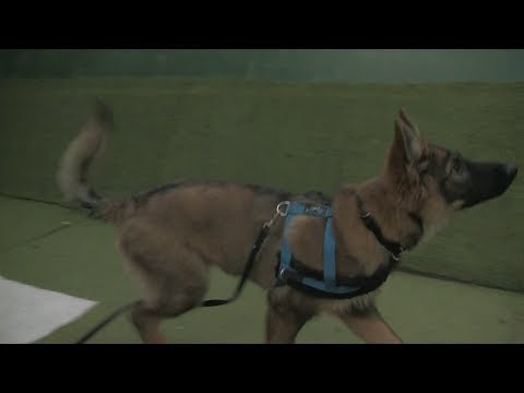 Een variant op de 'Hier' oefening :  Lekker dineren