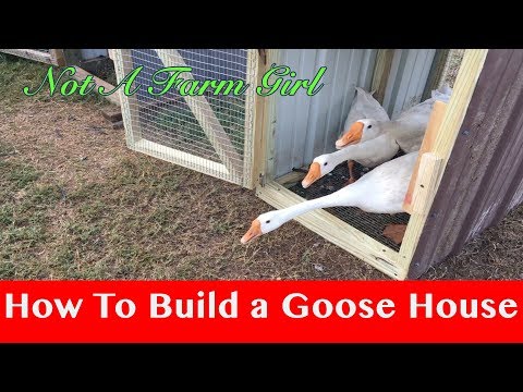 , title : 'How to Build a Goose House'