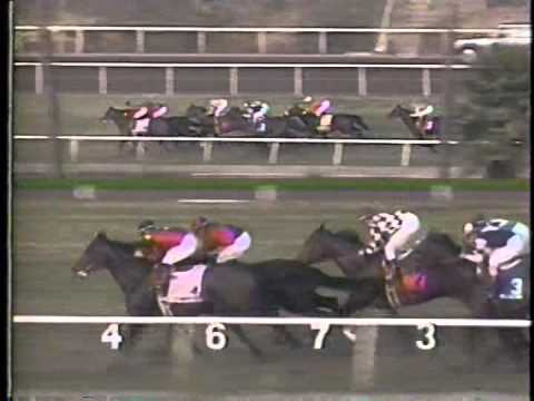 1991 Hollywood Turf Cup S. -- Miss Alleged