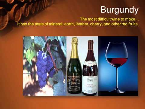 download lagu mp3 mp4 How Many Different Wines Are There, download lagu How Many Different Wines Are There gratis, unduh video klip How Many Different Wines Are There