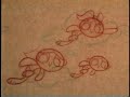 The Powerpuff Girls Whoopass Stew Pencil Test 1992