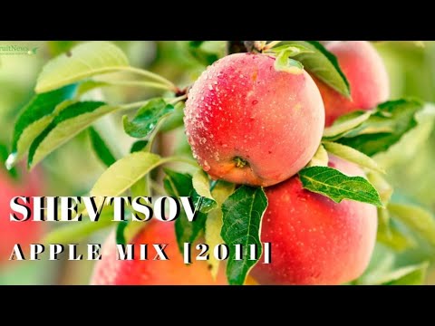 Shevtsov - APPLE MIX [2011]