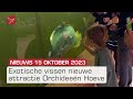 SV Urk verliest thuis van Kampong en een nieuwe attractie bij de Orchideeën Hoeve | Dit is Flevoland