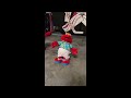 Limbo Elmo But With Original Song