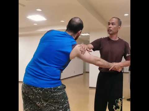 コンビネーション#カンフー #崩し #接近戦 #コンビネーション #自然門 #八極拳 #kungfu #ikoma #cqc #naist #combination