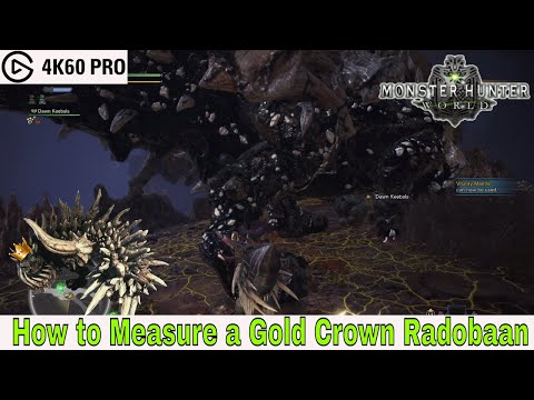 Monster Hunter: World - How to Measure a Gold Crown Radobaan Video