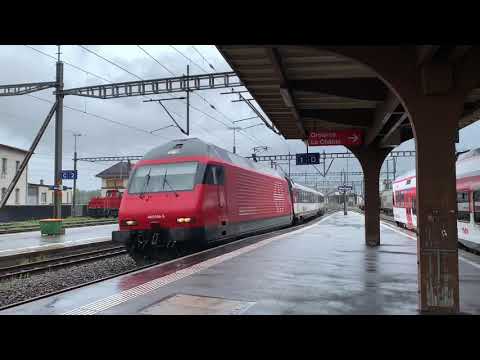 Treni SBB CFF FFS del Canton Vaud e Valais