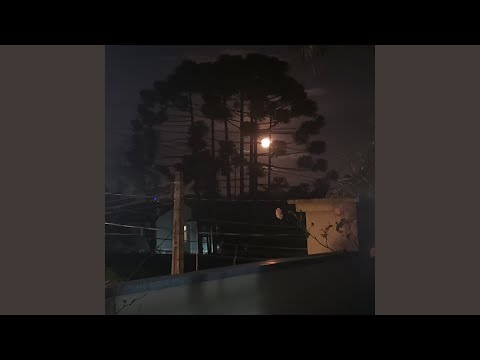 Douss, Eu To Tentando