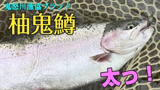 鬼怒川漁協ブランド『柚鬼鱒』の引きが衝撃的すぎた・・・【管理釣り場】【鬼怒川フィッシングエリア】