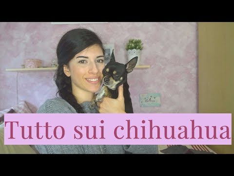 Video terribile di parassiti Parassiti esotici di una fotografia