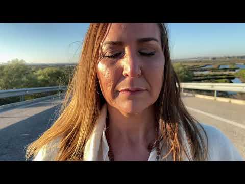 3. OBSERVAR SIN JUZGAR