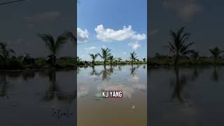 Download lagu Begini lah kami hidup di kalimantan kadang naik babi kadang naik rusa🤣🤣🤪 mp3 Download lagu Begini lah kami hidup di kalimantan kadang naik babi kadang naik rusa🤣🤣🤪 mp3