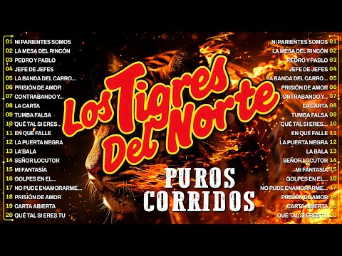 LOS TIGRES DEL NORTE MIX 2025 🎶 CORRIDOS Y NORTEÑAS VIEJITAS CANCIONES DE LOS TIGRES DEL NORTE
