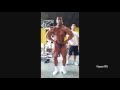 Bodybuilder Mohamed II/ Bodybuilding HD