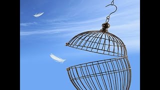 Sarantos Escaping The Prison Official Music Video - Best Solo Instrumentals - Vol. 1